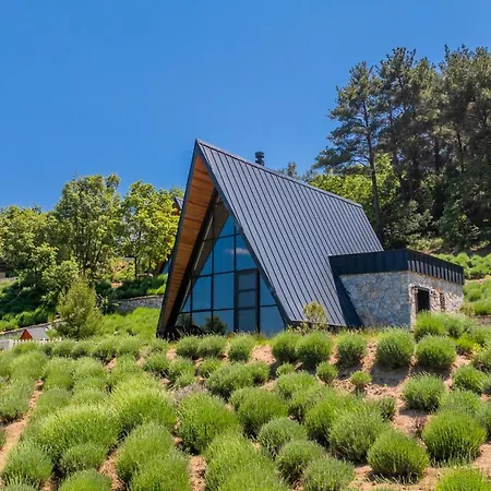 Eva Lavanda Kazdaglari