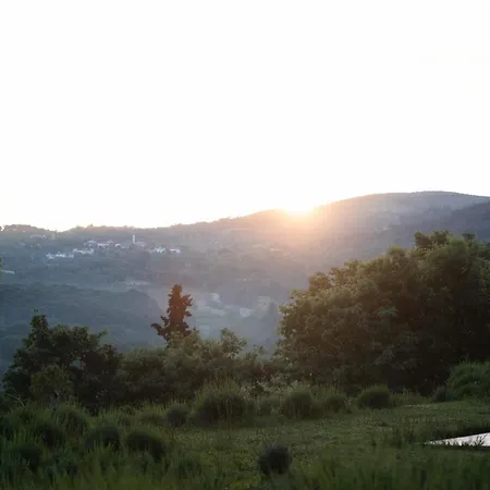 Eva Lavanda Kazdaglari Bayramic