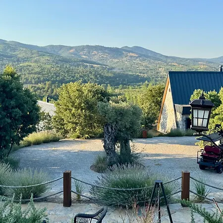 Eva Lavanda Kazdaglari 4*