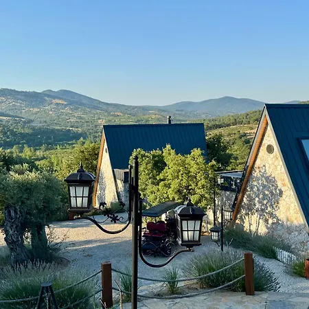 Eva Lavanda Kazdaglari