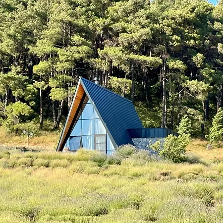 Nocleg ze śniadaniem Eva Lavanda Kazdaglari Bayramic