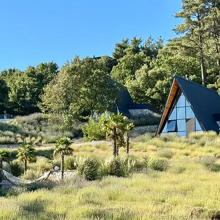 Eva Lavanda Kazdaglari Bayramic