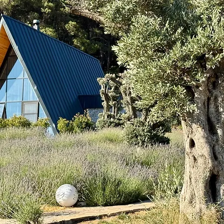 Eva Lavanda Kazdaglari Bayramic