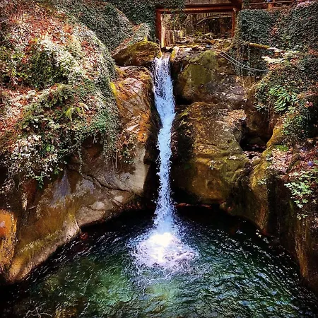 Eva Lavanda Kazdaglari Nocleg ze śniadaniem 4*