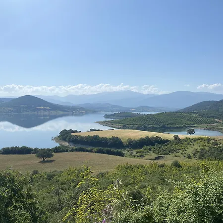 Eva Lavanda Kazdaglari Bayramic
