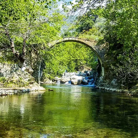 Eva Lavanda Kazdaglari B&B Bayramic